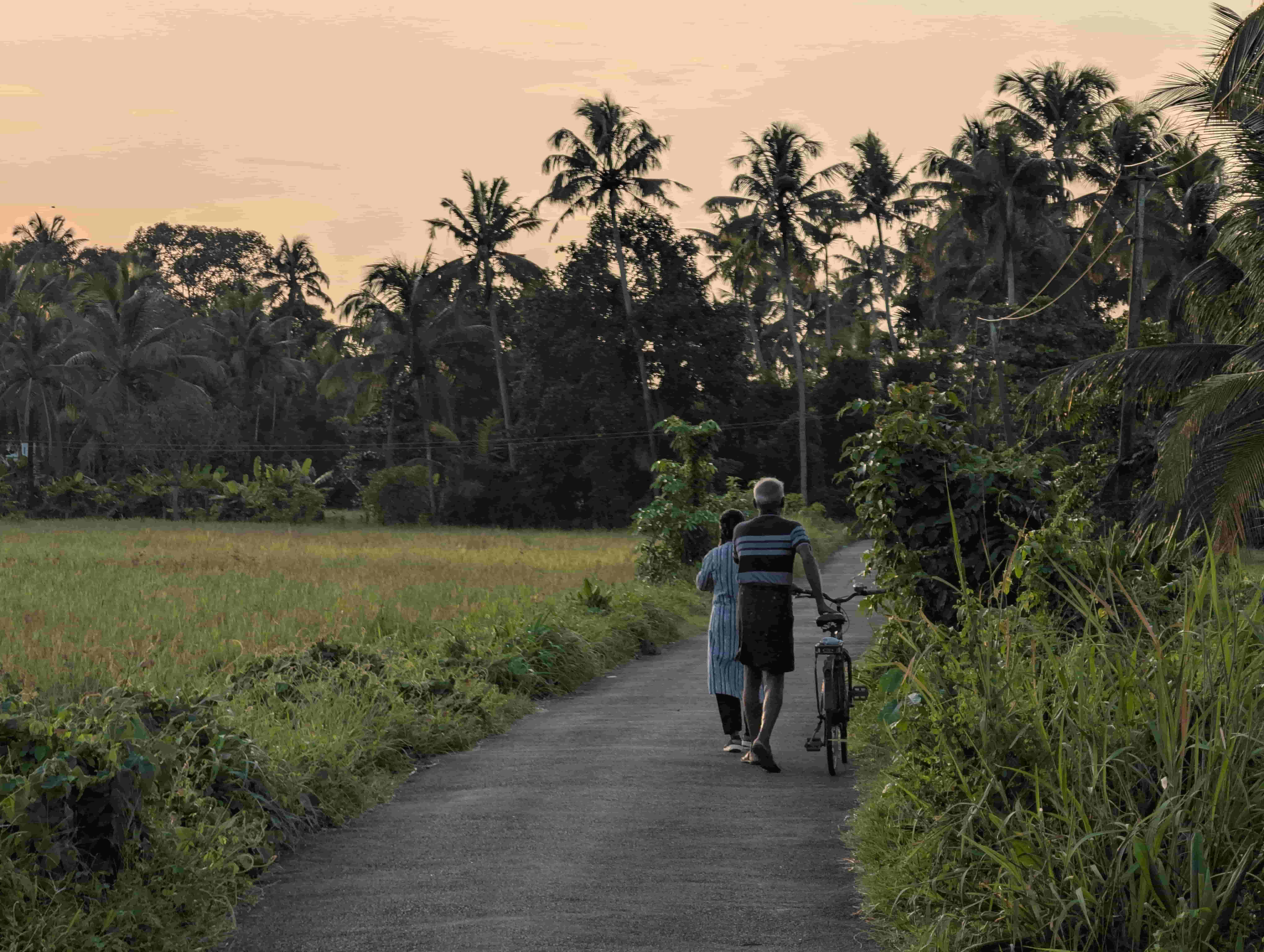 Rasvya Photographs